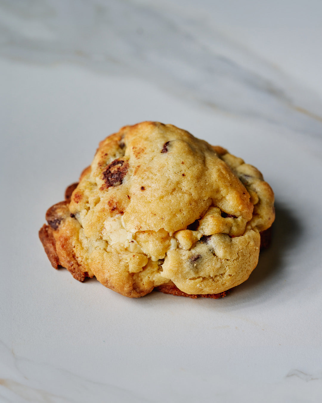 White & Dark Chocolate Chunk Cookie